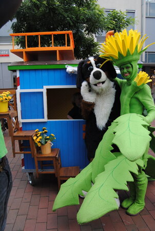 Klicken für eine Vergrösserung